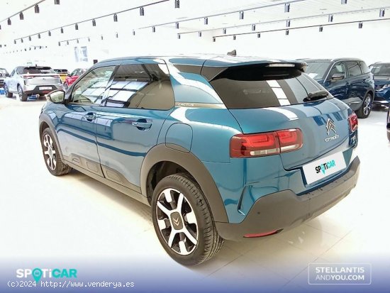 Citroën C4 Cactus  PureTech 81KW (110CV) S&S Shine - Ourense