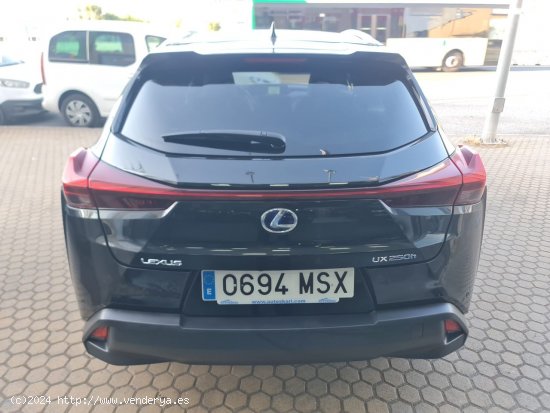 Lexus UX LEXUS UX 2.0 250h Executive Navigation 4WD LEXUS UX 2.0 250h Executive Navigation 4WD - ALA