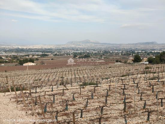 SE VENDE TERRENO RUSTICO CON MAGNIFICAS VISTAS EN ASPE - ALICANTE