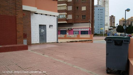 Local Benidorm - ALICANTE