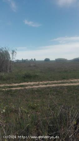 A la venta Terreno rústico en Bollullos del Condado - HUELVA