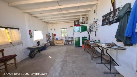 FINCA DE REGADIO CON ALMACEN EN ZAMORA - ZAMORA