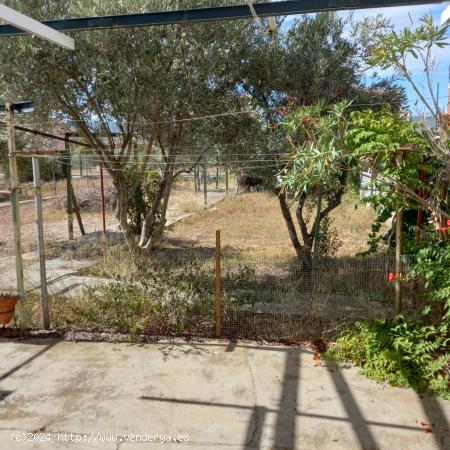 OPORTUNIDAD CHALET CON SOLAR ADYACENTE EN RIBARROJA D´EBRE - TARRAGONA