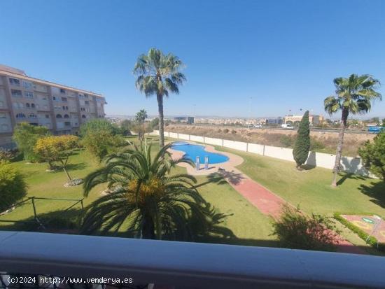 TORREVIEJA ZONA LAS NACIONES 1 HABS DANDO A PISCINA 71.000 EUROS...OPORTUNIDAD!!! - ALICANTE