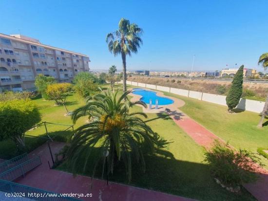 TORREVIEJA ZONA LAS NACIONES 1 HABS DANDO A PISCINA 71.000 EUROS...OPORTUNIDAD!!! - ALICANTE