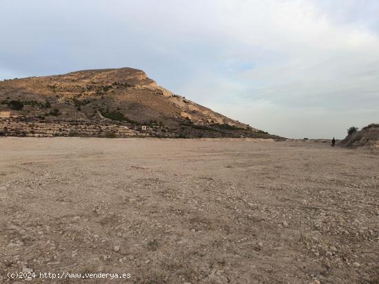 BUEN TERRENO URBANIZABLE CERCA DEL SANTUARIO - ALICANTE