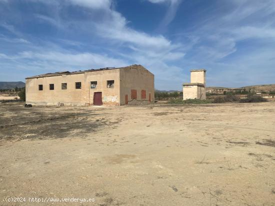 Nave con terreno, vallada, para reformar a  S O L O 3 minutos de Pinoso - ALICANTE