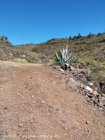 PARCELA RÚSTICA EN LA PASADILLA , LOMO CABALLO - LAS PALMAS