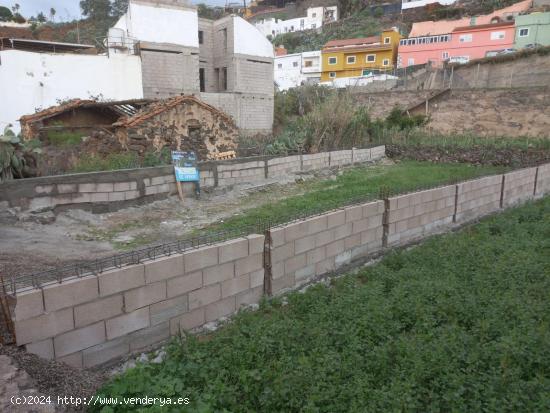 Se Venden 2 Terrenos en la zona de Los Llanetes - Valsequillo. - LAS PALMAS