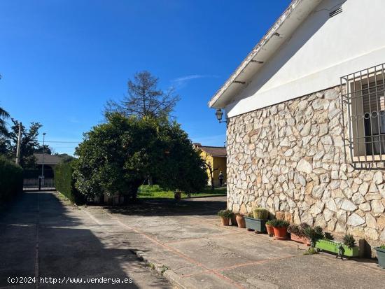 PARCELA DE 3000 M2 SEGREGABLE EN TRES CON DOS CHALETS - CORDOBA