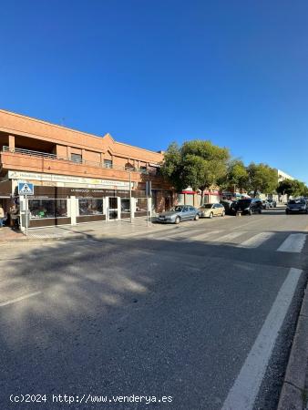  LOCAL EN AVENIDA DE ARCOS - CADIZ 