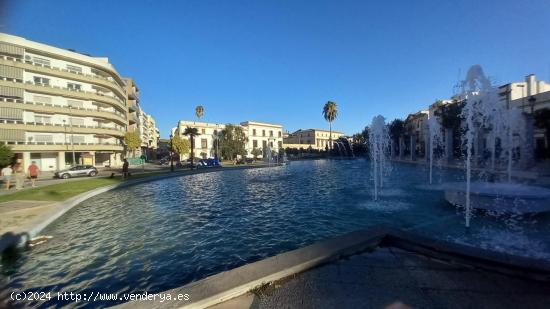 MARAVILLOSA CASA TIPICA JEREZANA EN PLENO CENTRO DE JEREZ - CADIZ