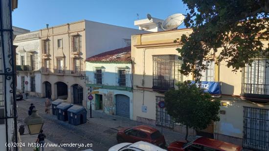 MARAVILLOSA CASA TIPICA JEREZANA EN PLENO CENTRO DE JEREZ - CADIZ