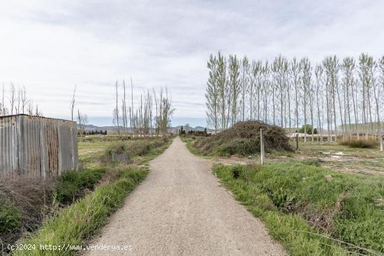 PARCELA DE 5 MARJALES CON POZO ENTRE FUENTE VAQUEROS Y CIJUELA - GRANADA