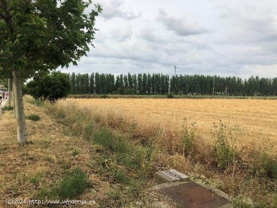 Urbis te ofrece una finca rústica en venta en zona Salas Bajas,  Salamanca. - SALAMANCA