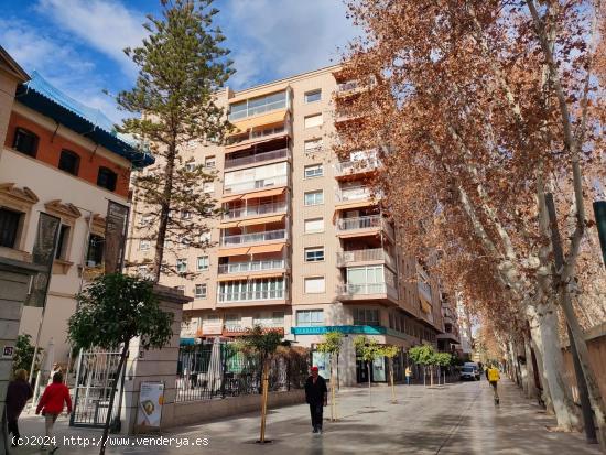 Alquiler de Oficina en Avenida Alfonso X el Sabio, Murcia - MURCIA