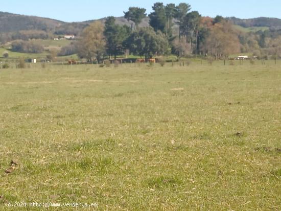  Se Vende Finca  en Valle de Mena - BURGOS 