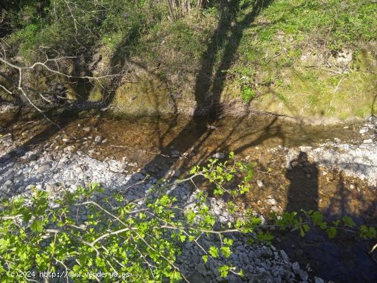 Se Vende Finca  en Valle de Mena - BURGOS