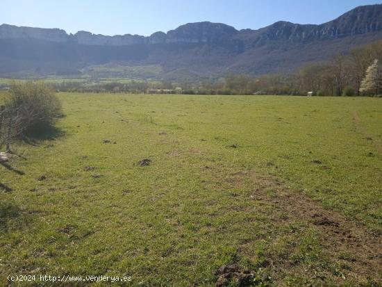 Se Vende Finca  en Valle de Mena - BURGOS