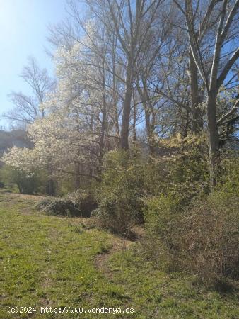 Se Vende Finca  en Valle de Mena - BURGOS