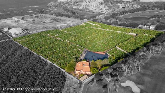 CASA PARA REFORMAR EN ABAMA CON FINCA DE PLATANOS - SANTA CRUZ DE TENERIFE