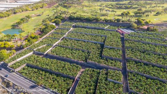 CASA PARA REFORMAR EN ABAMA CON FINCA DE PLATANOS - SANTA CRUZ DE TENERIFE