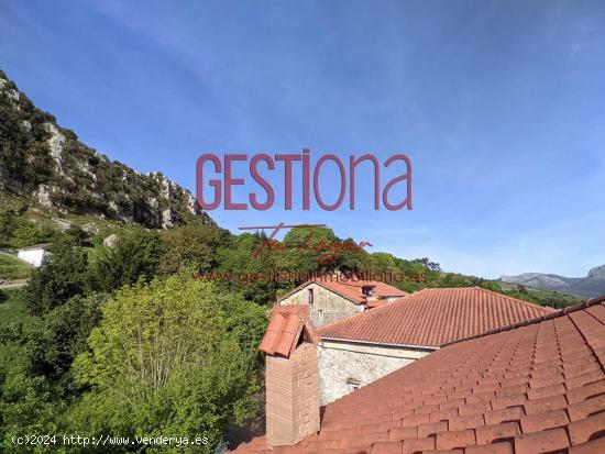 CASA DE PIEDRA CON ESCUDO PARA REFORMAR. MENTERA - BARRUELO - CANTABRIA