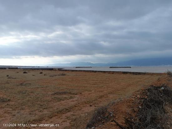 FINCA RÚSTICA EN ALQUILER - ALMERIA