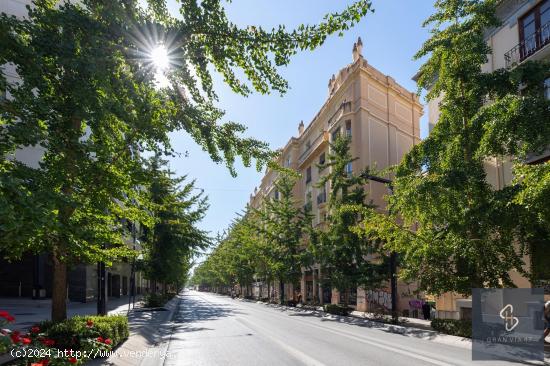 APARTAMENTO EN GRAN VIA 47 HOMES-EXCLUSIVA VIVIENDA EN EDIFICIO SINGULAR EN PLENO CORAZÓN DE GRANAD