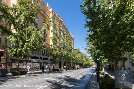 APARTAMENTO EN GRAN VIA 47 HOMES-EXCLUSIVA VIVIENDA EN EDIFICIO SINGULAR EN PLENO CORAZÓN DE GRANAD