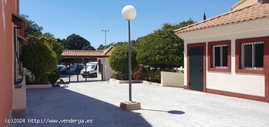 DUPLEX EN EL CAMPO DE GOLF DE LA PLAYA DE SAN JUAN - ALICANTE