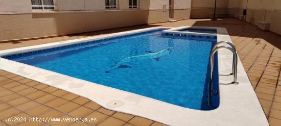 Novedad! Esplendido apartamento completamente exterior y con muchísima luz natural + Piscina - ALIC