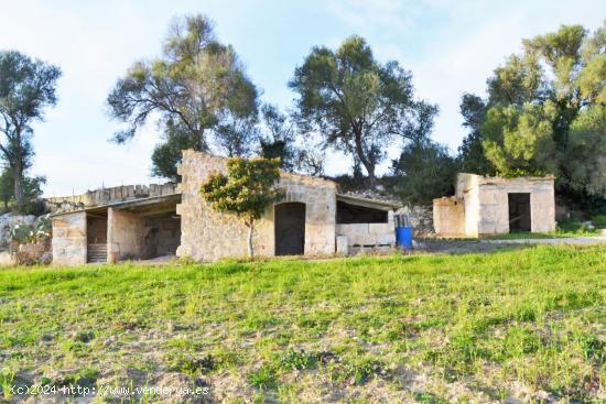 Finca rústica en venta en Muro - BALEARES