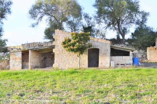 Finca rústica en venta en Muro - BALEARES