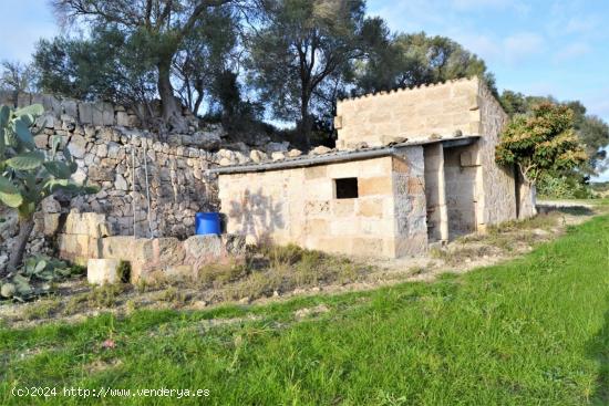 Finca rústica en venta en Muro - BALEARES