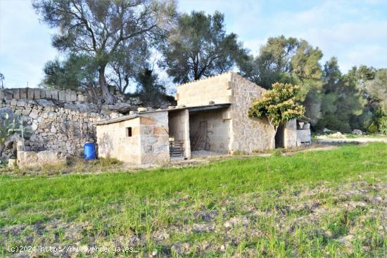 Finca rústica en venta en Muro - BALEARES