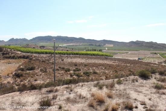 A la venta Casa Cueva en Campo Tejar con terreno de 13000 m2 - MURCIA