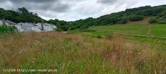 VENTA DE TERRENO URBANO EN ORUÑA DE PIELAGOS - CANTABRIA