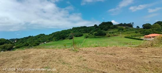 VENTA DE TERRENO URBANO EN ORUÑA DE PIELAGOS - CANTABRIA