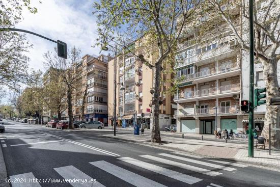 LOCAL EN AVENIDA CERVANTES - GRANADA