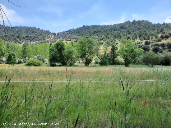 CONSTRUYE TU CASA EN UN PAISAJE IDÍLICO A ORILLAS DEL RIO MUNDO!!! - ALBACETE