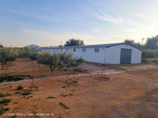 FINCA RUSTICA EN VENTA - TARRAGONA