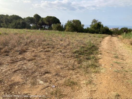  Finca rústica con vista al mar en Pineda de Mar - BARCELONA 