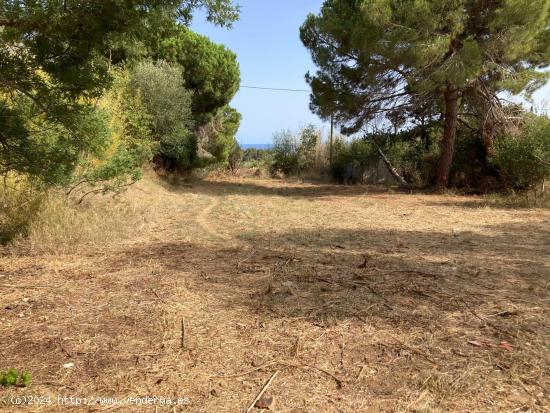 Finca rústica con suministros en Pineda de Mar - BARCELONA