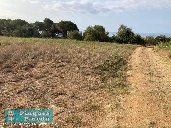 Finca rústica con vista al mar en Pineda de Mar - BARCELONA