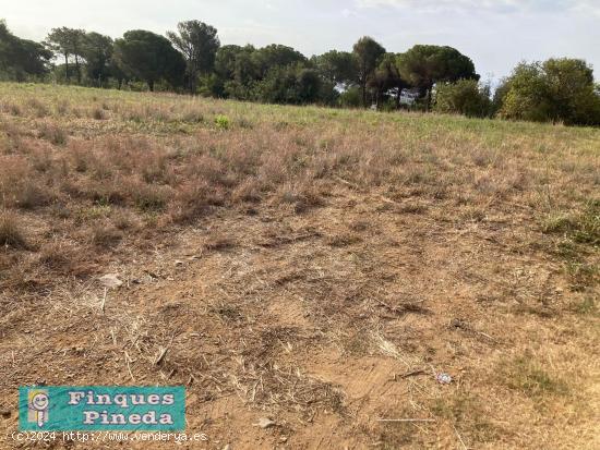 Finca rústica con vista al mar en Pineda de Mar - BARCELONA