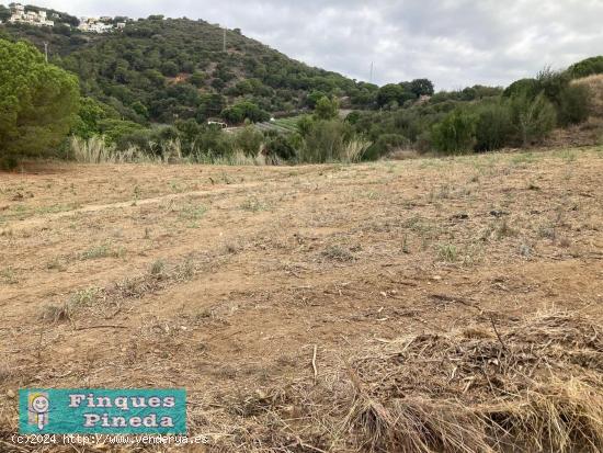 Finca rústica con vista al mar en Pineda de Mar - BARCELONA