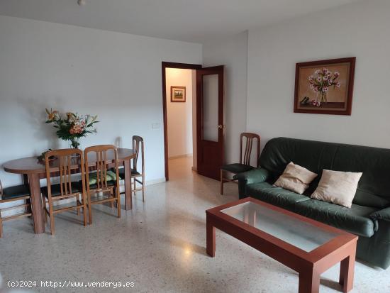  SE VENDE PISO EN EL PASEO VICTORIA EUGENIA - CADIZ 