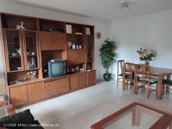 SE VENDE PISO EN EL PASEO VICTORIA EUGENIA - CADIZ