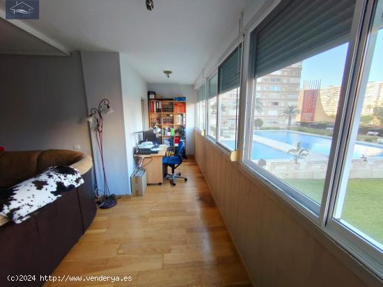 PISO EN VENTA EN PLAYA SAN JUAN DE ALICANTE - PLAYA - ZONA FONTANA - ALICANTE